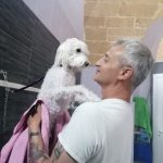 lavaggio cane le terme di achille lecce